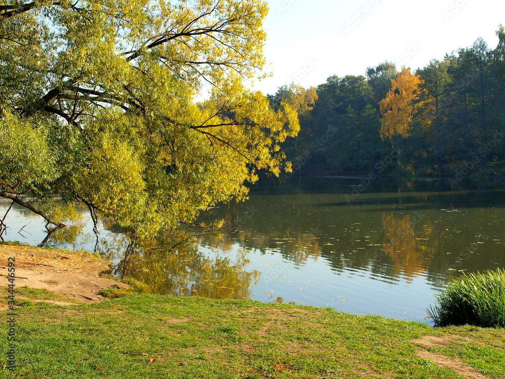 Lake view in the autumn park