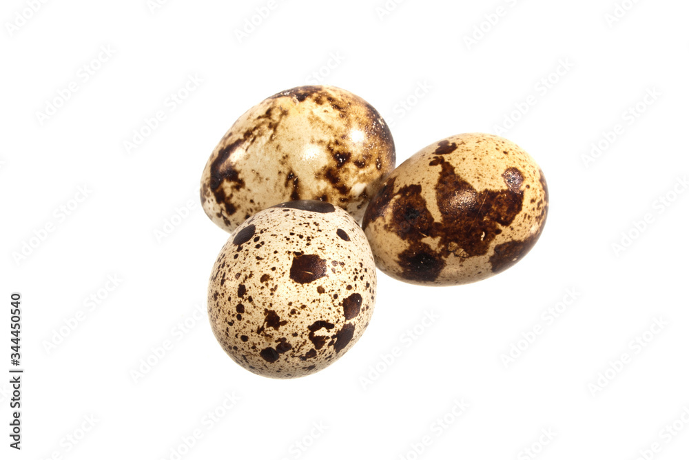 Obraz premium egg isolated on white background