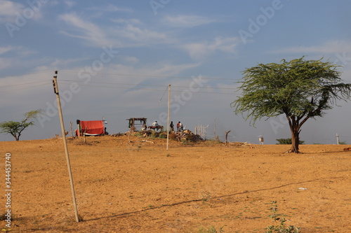 Savanna in the middle of Desert photo