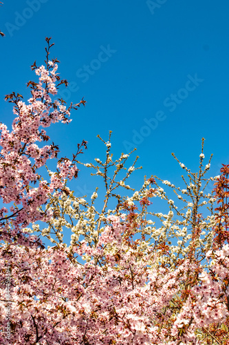 Frühling