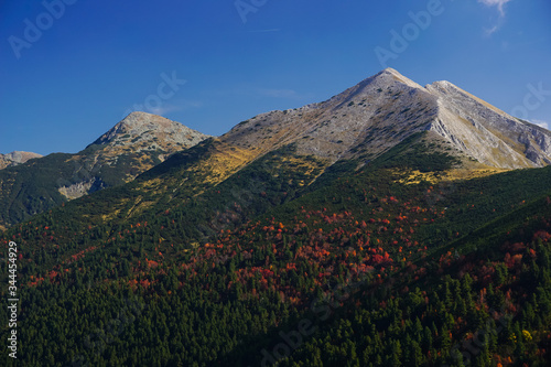 View towards the main ridge of Pirin mountain in Bulgaria with Sinanitsa, Vihren and Koncheto peaks and autumn forest below them 