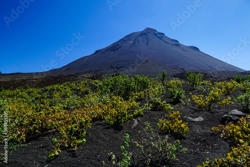 View from the Fogo island vineyards towards the top of the Fogo volcano in Cabo Verde islands 