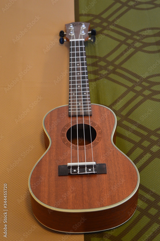 Ukulele - acoustic guitar 