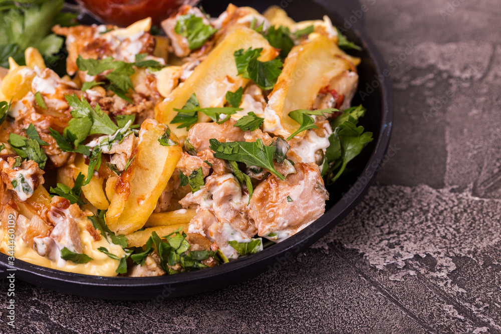 Canadian poutine french fries with brown gravy sauce, chicken and cheese curds. Canadian poutine french fries with brown gravy sauce, chicken and cheese curds.