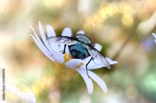 Sometimes even in the most nauseating and ugly things, great beauty can be hidden