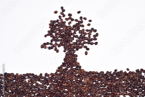 Obraz na plátne Shape of tree made from coffee beans isolated on white background