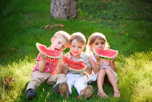 Funny kids eating watermelon outdoors in summer park. © nagaets