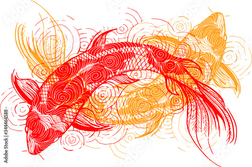 Koi Fish Line Art Vector