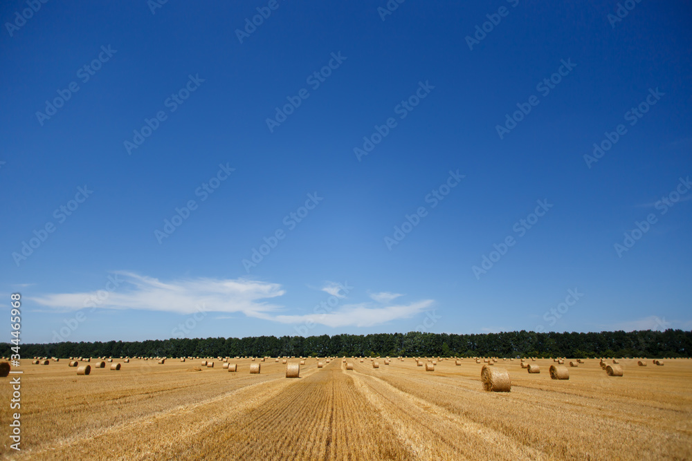 Sunny day in harvested field.
Gathered bales on the field. Horizontal with clear blue sky
