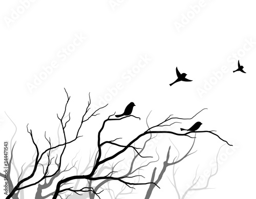 Black Branch Tree or Naked trees silhouettes set. Hand drawn isolated illustrations.