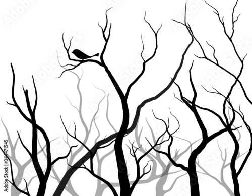 Black Branch Tree or Naked trees silhouettes set. Hand drawn isolated illustrations.