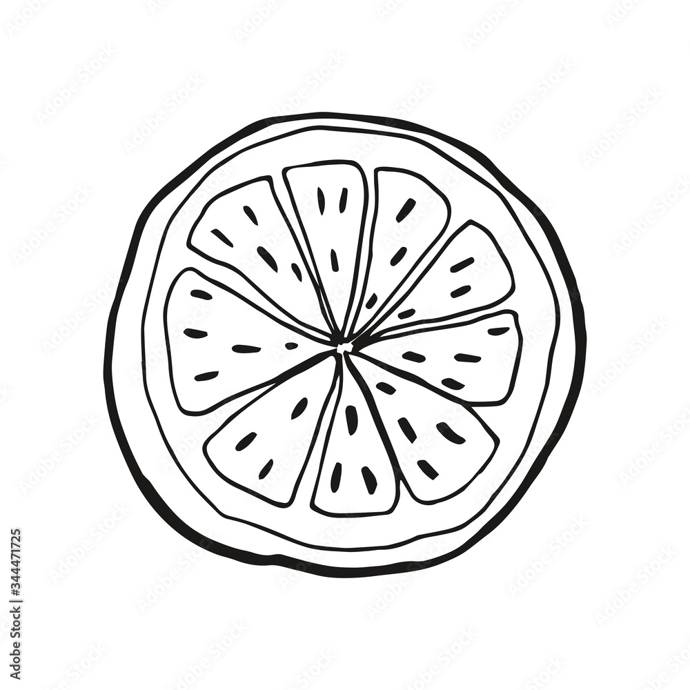 Slice of lemon. Doodle lemon. Vector illustration of slice of lemon. Slice of lemon. Doodle lemon. Vector illustration of slice of lemon.