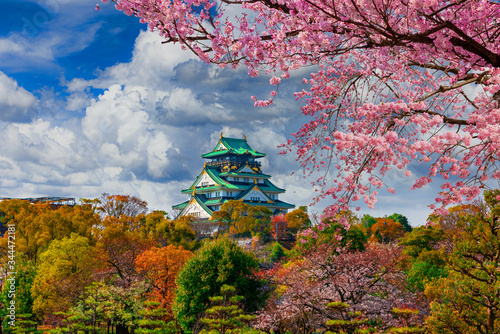 Osaka Castle and full cherry blossom, Japan