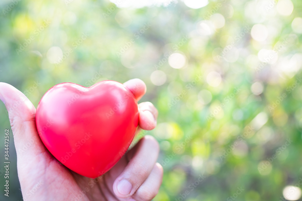Hand holding red heart with copy space.Concept of Love and Health care,family insurance.World heart day, World health day.Valentine's day.Shape of heart on beautiful green light bokeh background.
