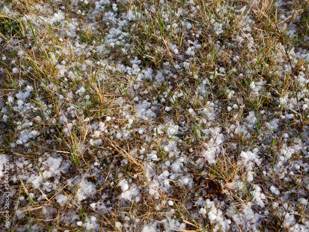 hail ice balls on green grass in spring hail ice balls on green grass in spring