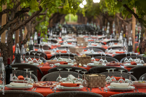 Wallpaper Mural allestimento con parecchiatura arancione  di tavoli in ordine sotto una vigna  Torontodigital.ca