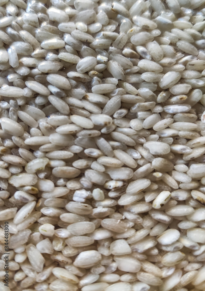 Arborio rice, close up texture