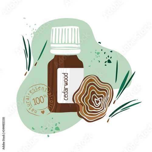Bottle with cedarwood essential oil drawn by hand on a white background. Aromatherapy  cosmetics  folk and alternative medicine. Sign to labels  banner  a symbol in the booklet. Vector illustration