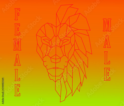 León para decorar en fondos