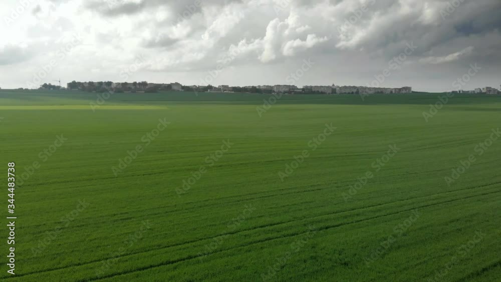 Aerial view from drone of Green grass field and dark sky with clouds before rain. Aerial view from drone of Green grass field and dark sky with clouds before rain.