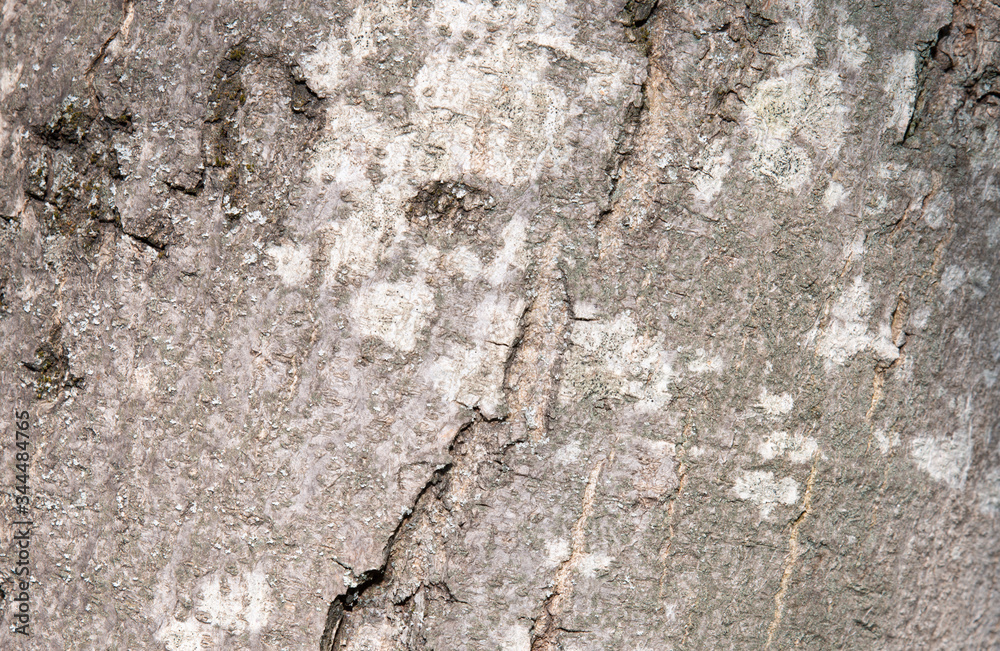 wood pattern