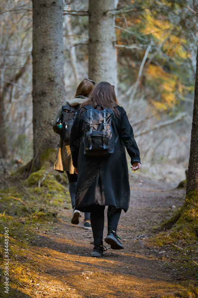 Teenage girls hiking through forest with hipster backpacks. Warm tones, sunset colors. Wilderness.  