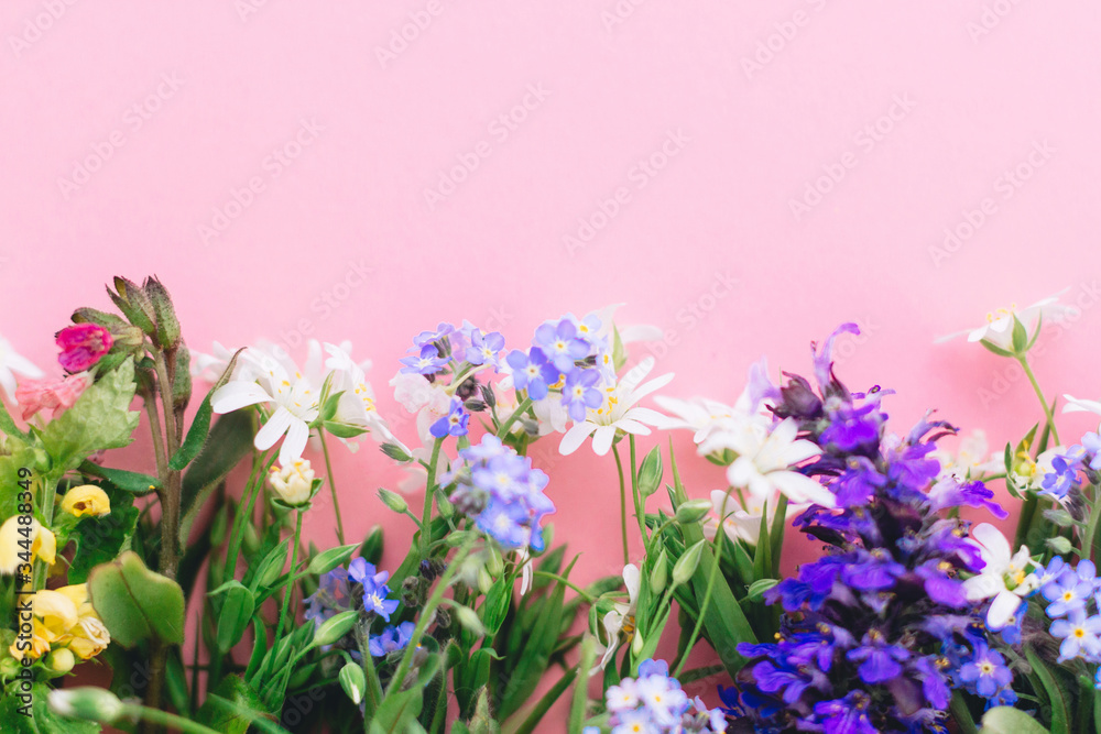 Obraz premium Wildflowers colorful border on pink paper background, flat lay with space for text. Blooming spring flowers, floral greeting card template. Happy Mother's day concept. Hello spring