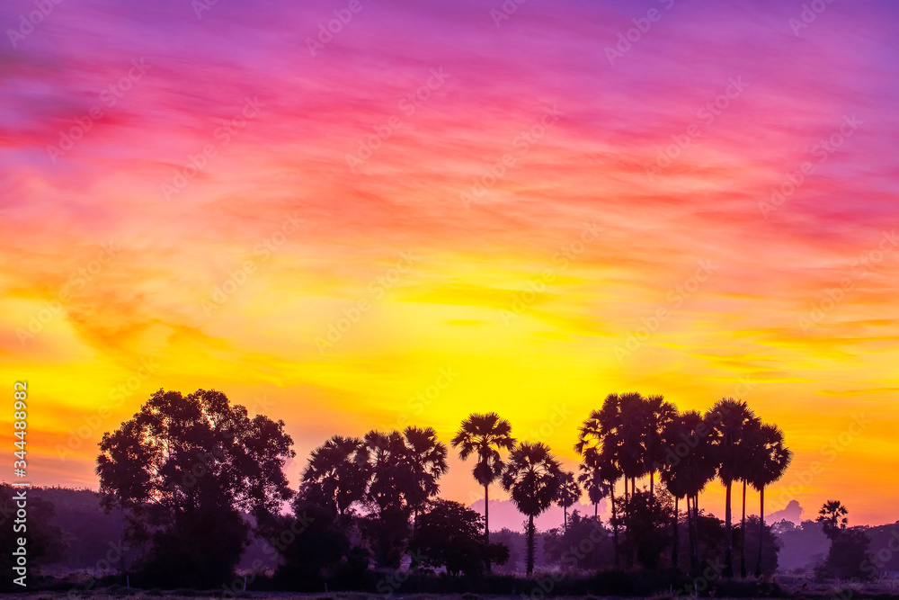 Morning scenery and black palm tree silhouette under the colorful sky before the sun rises
