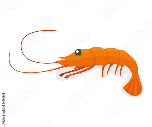 Seafood shrimp  ocean delicacy food isolated on white cartoon vector illustration. Prawn for grill  asian meal concept