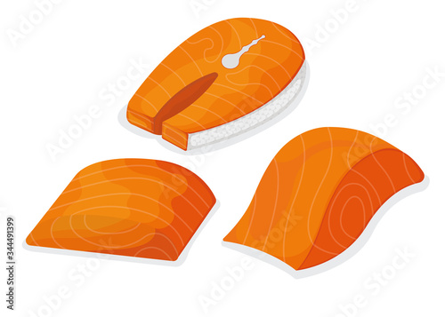 Set of piece fish tuna salmon, fresh minnow steak tenderloin isolated on white, cartoon vector illustration. Healthy fat seafood stuff icon, mega 3 food.