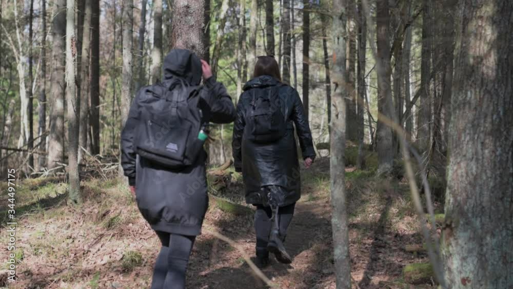 Teenage girls hiking through pine forest with hipster backpacks. Warm tones, sunset colors. Footsteps in wilderness. Teenage girls hiking through pine forest with hipster backpacks. Warm tones, sunset colors. Footsteps in wilderness.