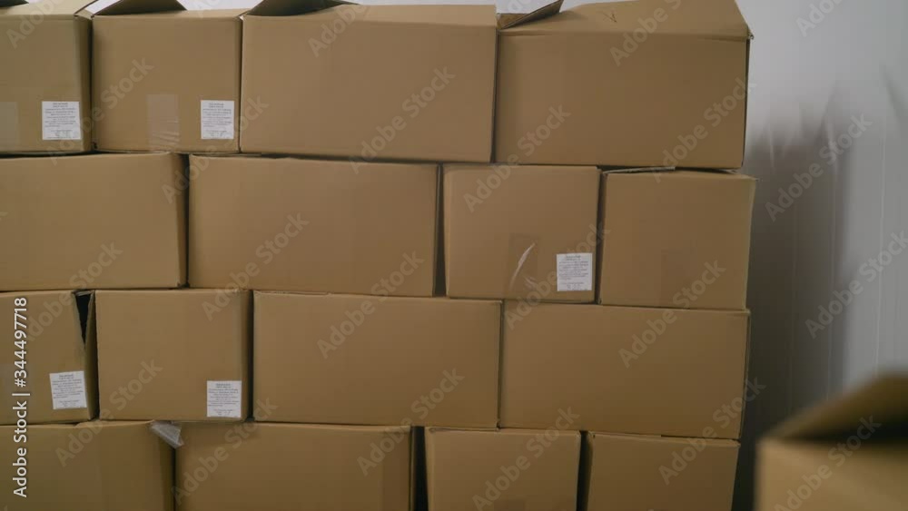 A set of cardboard boxes in an industrial refrigerator. Cardboard boxes with frozen fish. Large cardboard boxes in stock before shipping. A set of cardboard boxes in an industrial refrigerator. Cardboard boxes with frozen fish. Large cardboard boxes in stock before shipping.