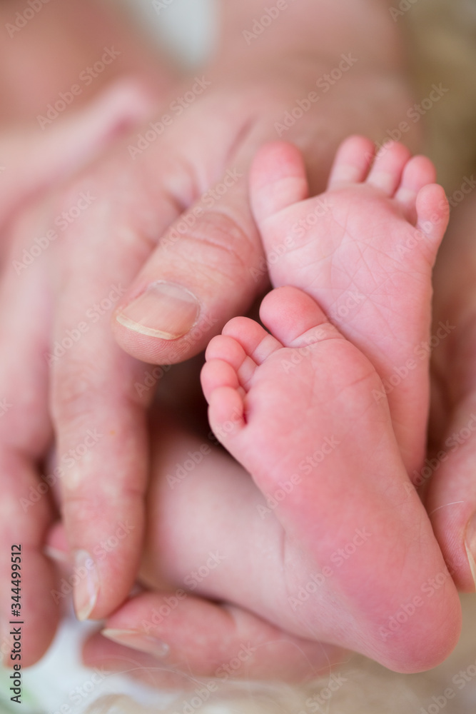 baby feet in mothers hands close up baby feet in mothers hands close up