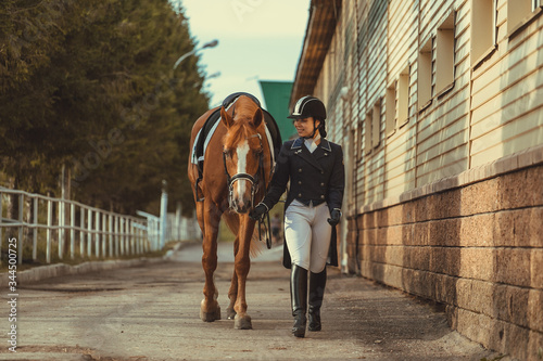 Rider woman with the horse are walking in a stable outdoors for dressage training © matilda553