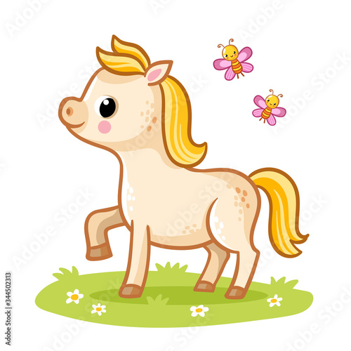 Little cute foal with a golden mane standing in the meadow with butterflies. Vecton illustration with a horse