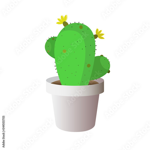 Cactus pot plant 3d illustration vector (prickly)