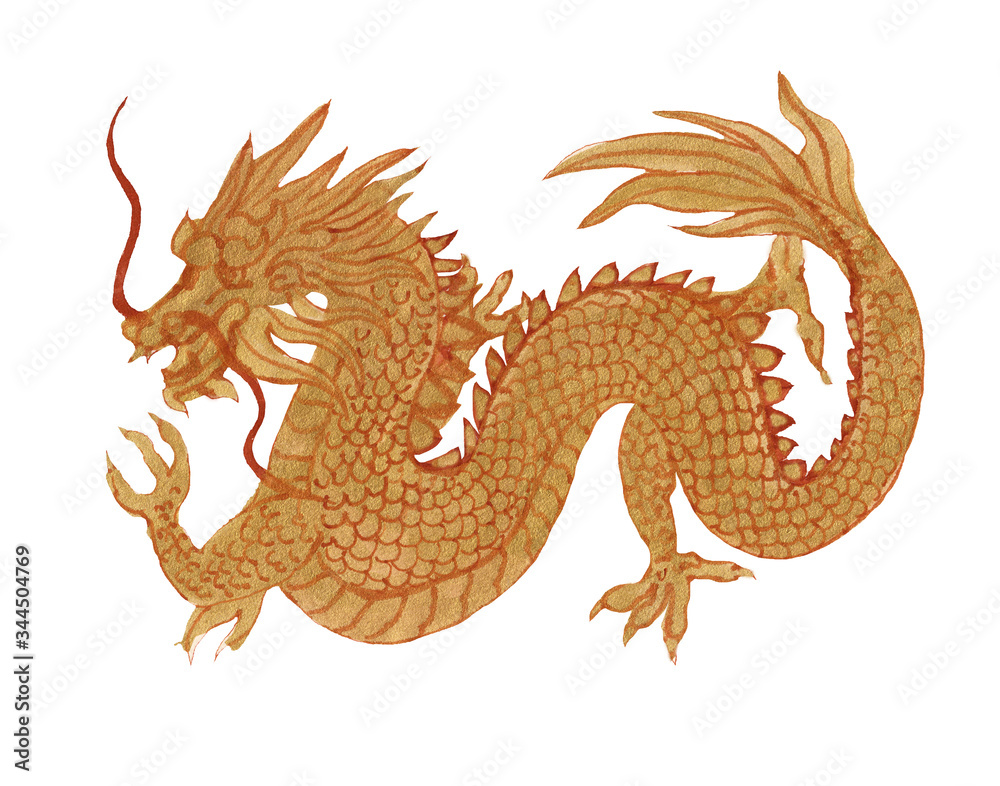 Fototapeta premium .Golden dragon painted by paint isolated on a white background. Asian, chinese, japanese dragon isolated on white background.