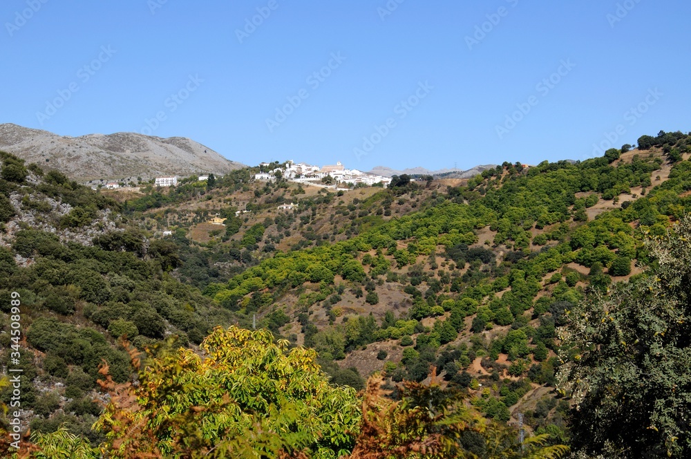 View of whitewashed village (pueblo blanco) and surrounding countryside, Cartajima, Andalusia, Spain.