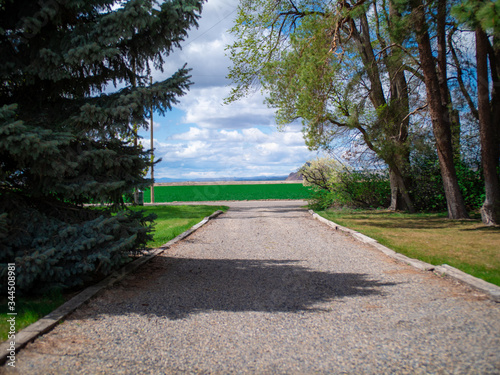 Country driveway