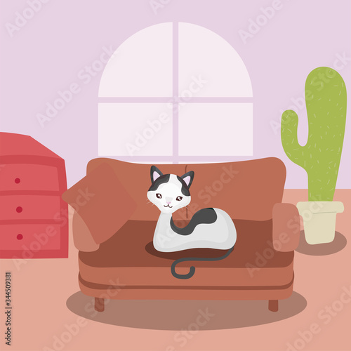 cute cat in living room