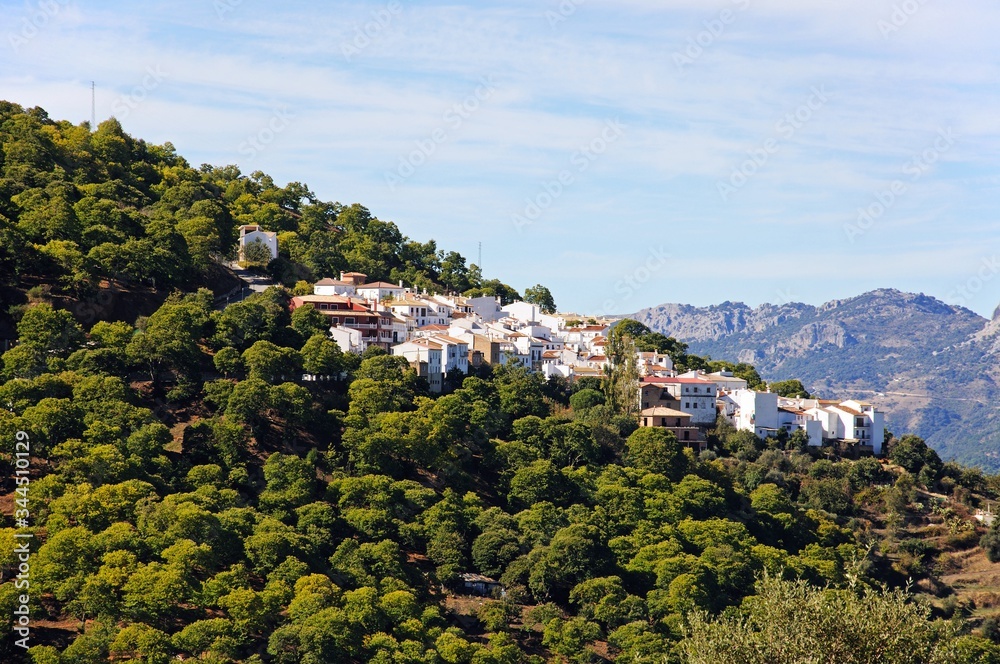 White village surrounded by a forest of chestnut trees, Pujerra, Andalusia, Spain.