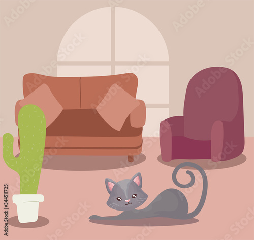 cute cat in living room