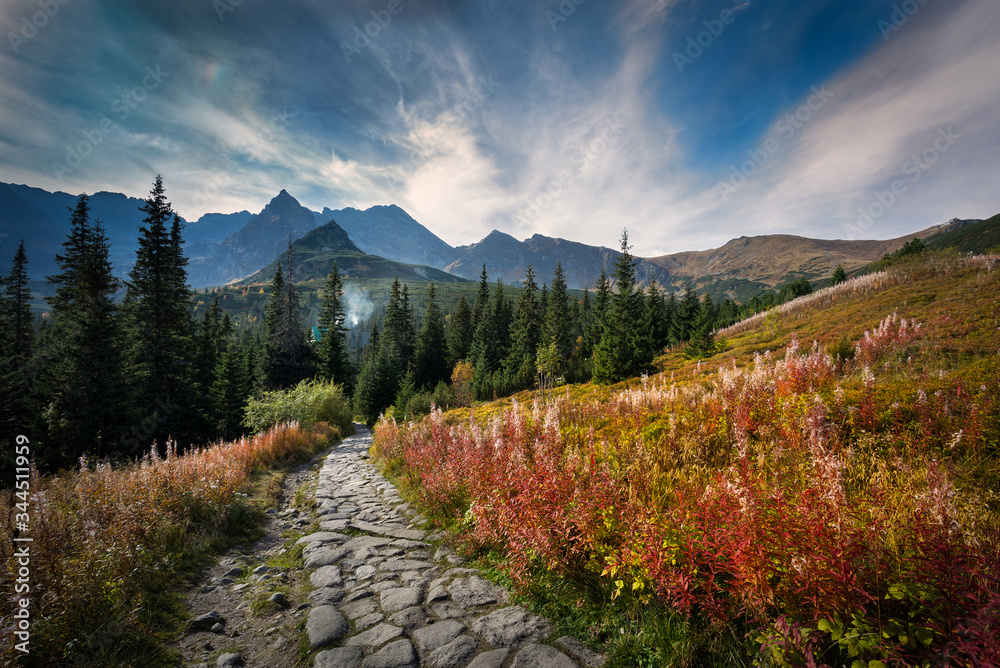 Szlak na Hali Gąsienicowej w Tatrach prowadzący do schroniska Murowaniec - obrazy, fototapety, plakaty 