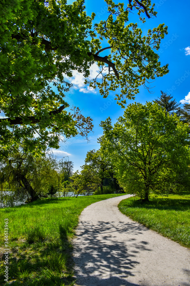 Spring walk on the weekend in beautiful nature.