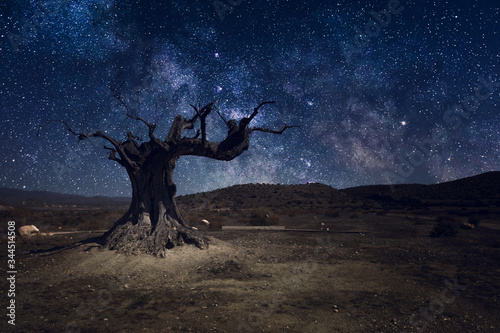 Milky way with lonely tree in dark night
