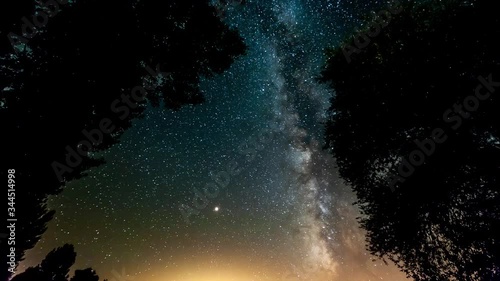 milky way cross the trees