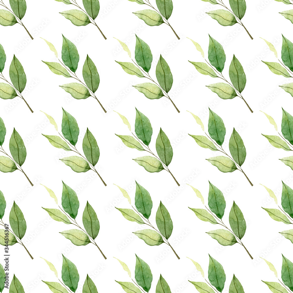 Seamless floral pattern in vintage style. Leaves and herbs. Botanical illustration. Boxwood, seeded eucalyptus, fern, maidenhair.