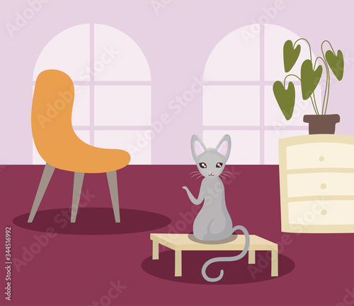 cute cat in living room