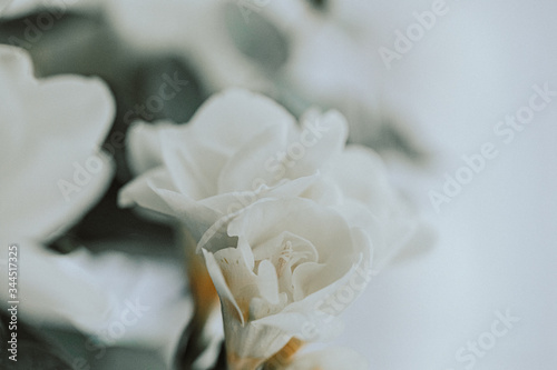 White freesias arrangement design bouquet 