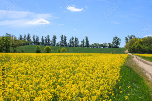 Hiking in spring in the area of Brandenburg, Germany